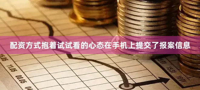 配资方式抱着试试看的心态在手机上提交了报案信息