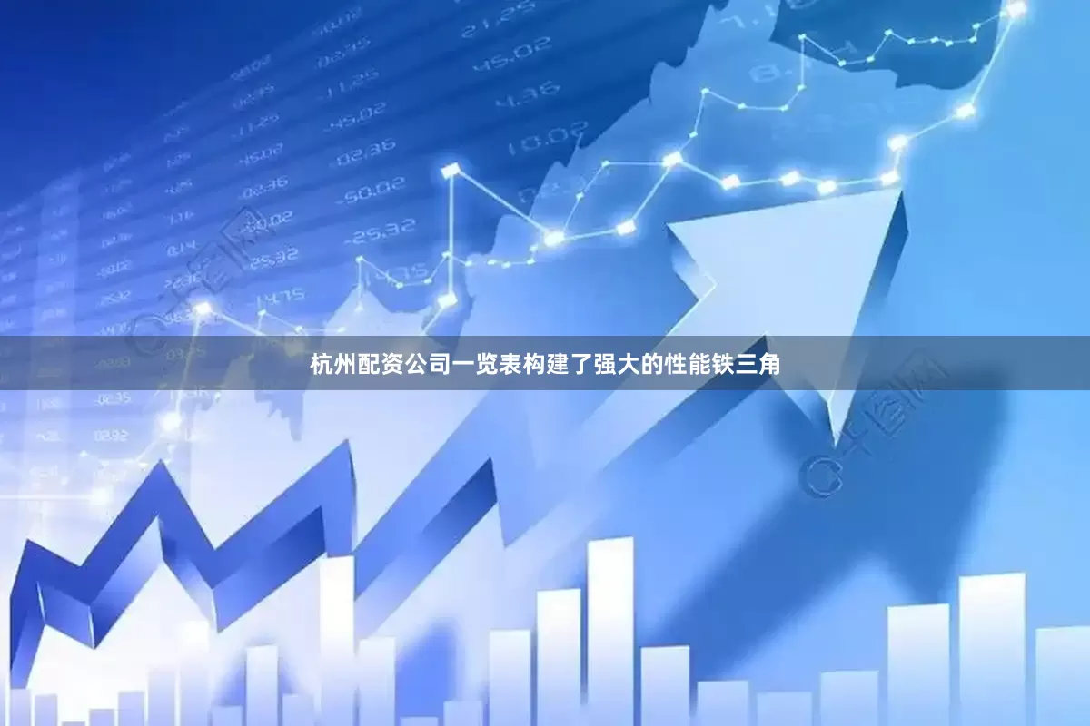 杭州配资公司一览表构建了强大的性能铁三角