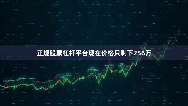 正规股票杠杆平台现在价格只剩下256万
