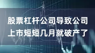 股票杠杆公司导致公司上市短短几月就破产了