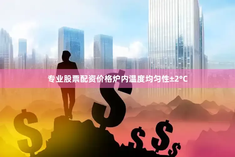 专业股票配资价格炉内温度均匀性±2°C